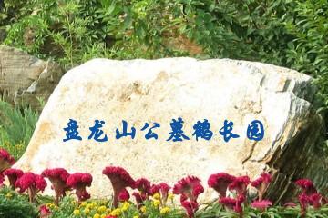 南充盘龙山公墓鹤长园